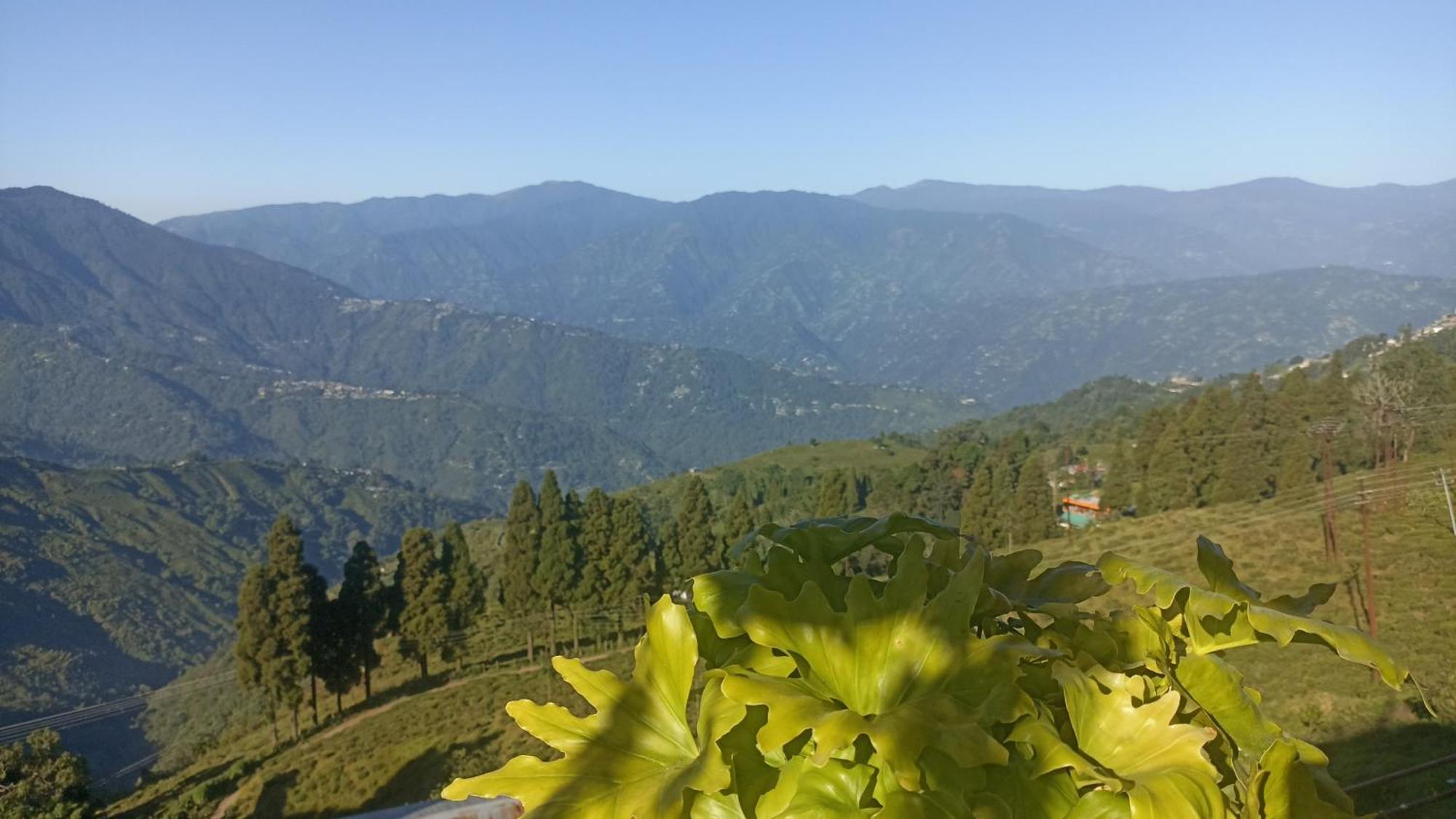 Valley View Homestay Darjeeling  Luaran gambar